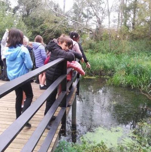 Term 1 Geography River Walk